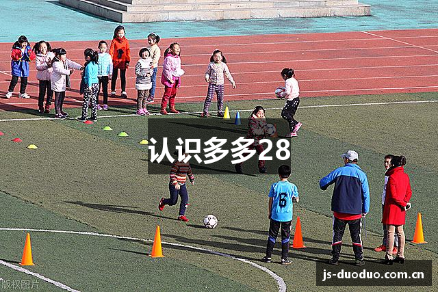 认识多多28